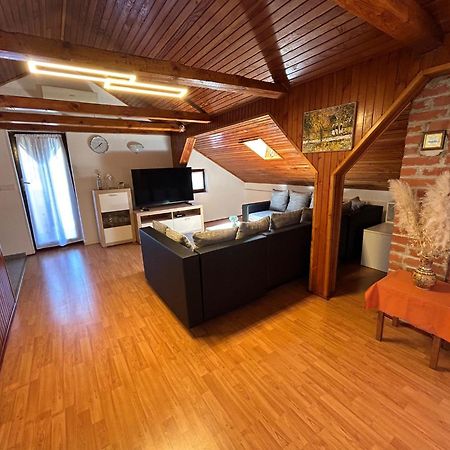 Apartment Milena Brtonigla Dış mekan fotoğraf